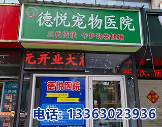 邯郸猫细小宠物诊所